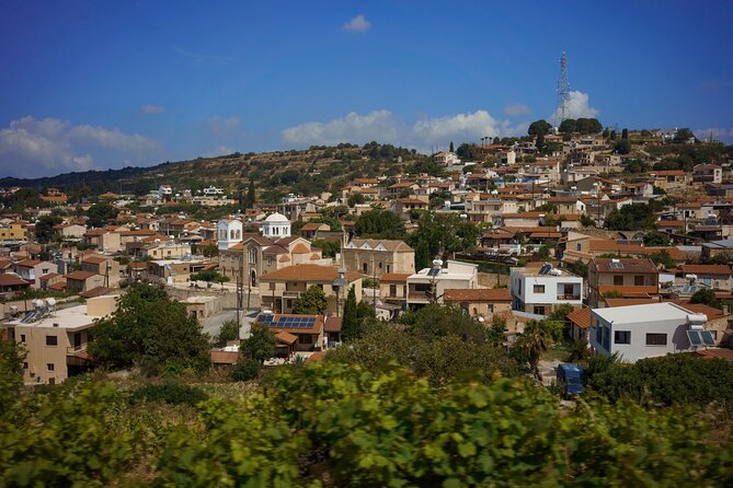 100% Cyprus - Tour to Troodos mountains and villages (From Paphos) - Lambouri Winery: A Tasty Finish