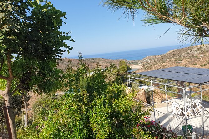 2-Hour Botanic Garden Tour in Akoursos - Swimming beside Adonis Cave and the waterfalls