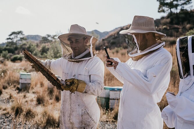 30-Minute Guided Honey Tasting Activity in Melini - Key points to know before booking