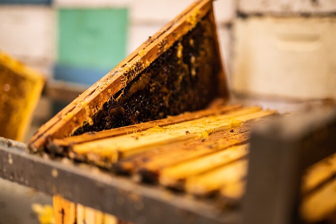 30-Minute Guided Honey Tasting Activity in Melini - From company videos to the working hive