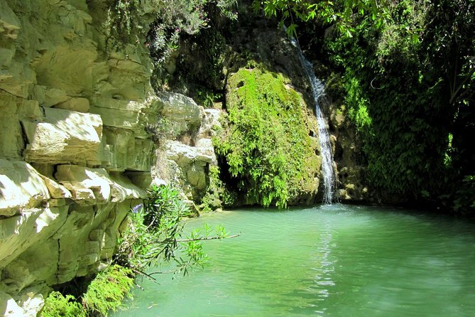 4 hour Quad & Buggy Safari Akamas(lara Bay) & Adonis Falls - Starting in Peyia at 9 am