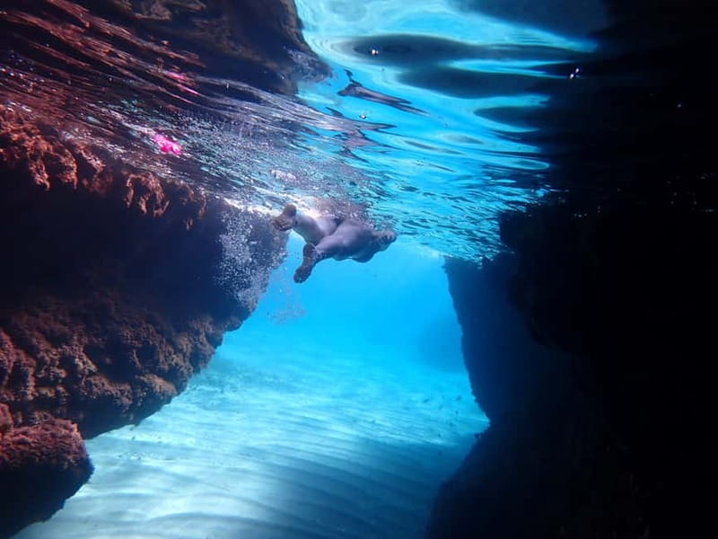5-hour Cape Greco Caves kayaking + Snorkelling trip - Key points to know before booking
