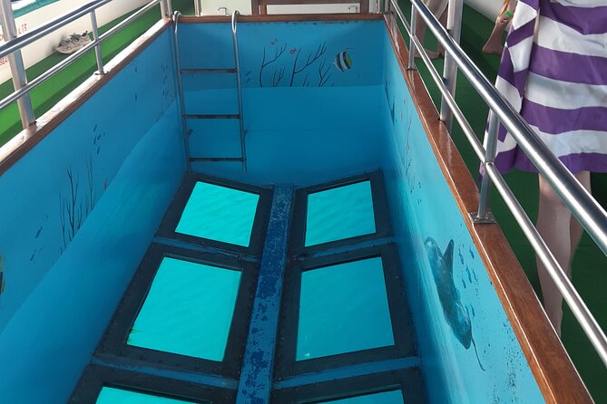 90-Minutes Glass Bottom Trip With Quick Dip - Natural sponges and the sea floor