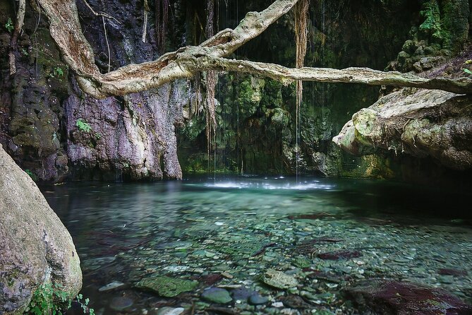 Akamas, Baths of Aphrodite and Blue Lagoon Day Tour from Paphos - What the $53.92 price really covers