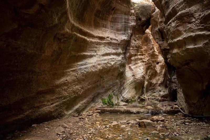 Akamas Jeep Safari Tour from Paphos - Key points at a glance