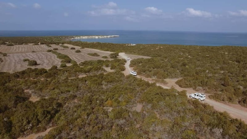 Akamas Jeep Safari Tour from Paphos - Lara Bay and the turtle project