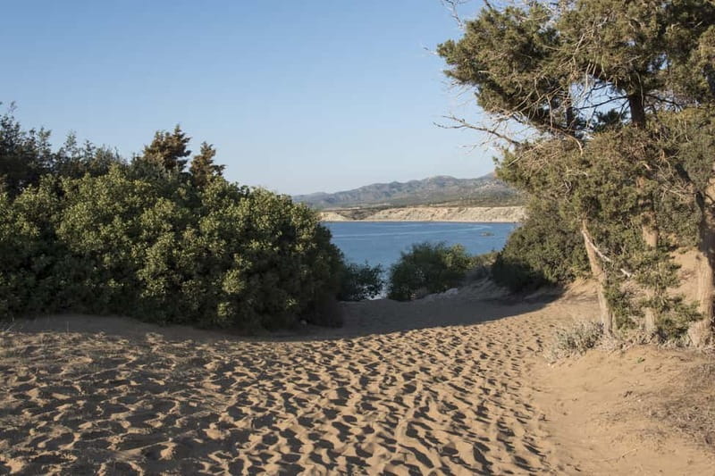 Akamas Jeep Safari Tour from Paphos - How rough is the Jeep ride?