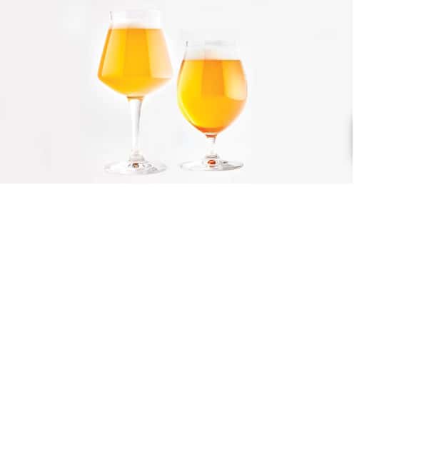 AMMOCHOSTOS VIP -Craft Brewery Tasting & Cypriot Food Trip - Should You Book This Cyprus Food and Brewery Trip?