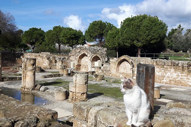 Ancient City Of PAPHOS - Key points to know before booking