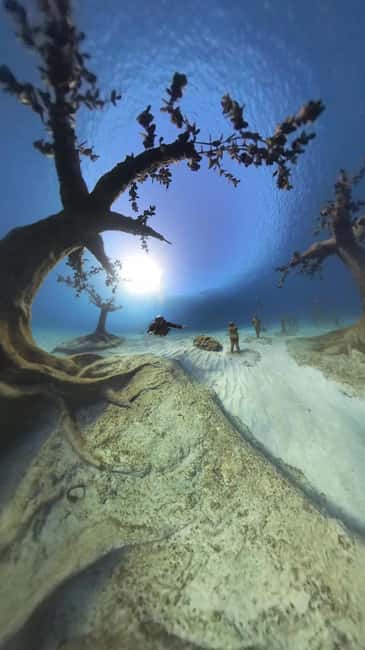 Ayia Napa: Musan Underwater Museum Scuba Dive - Key points to know before booking
