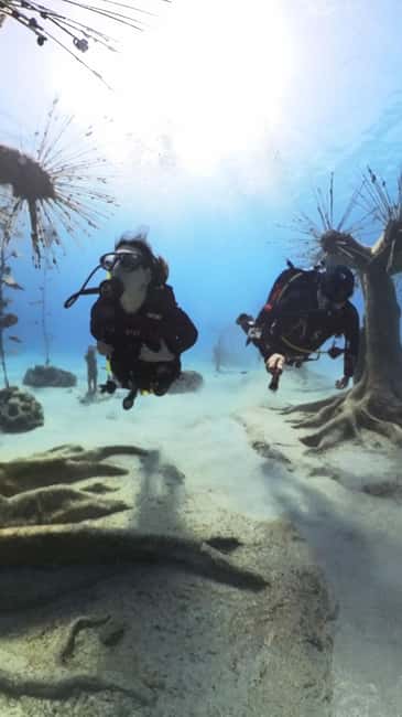 Ayia Napa: Musan Underwater Museum Scuba Dive - Why MUSAN feels different from a standard scuba session