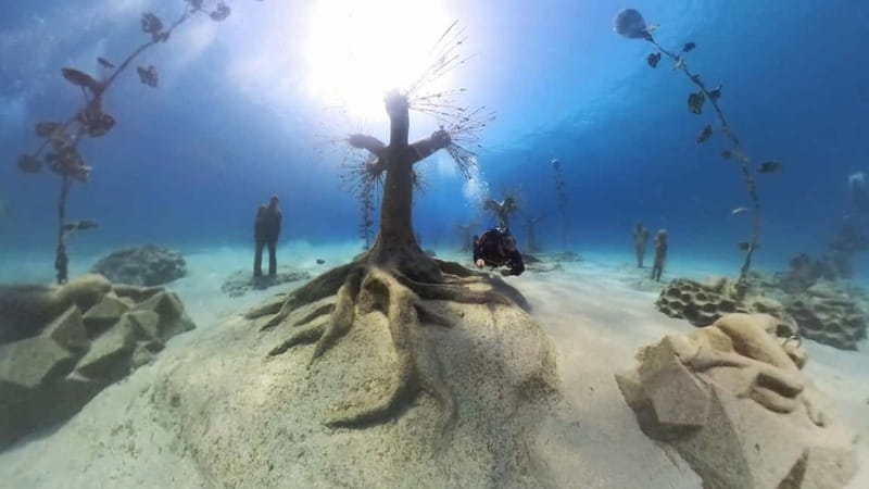 Ayia Napa: Musan Underwater Museum Scuba Dive - Practical advice for a smoother morning