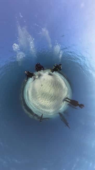 Ayia Napa: Musan Underwater Museum Scuba Dive - Hotel pickup and the ride to the coast