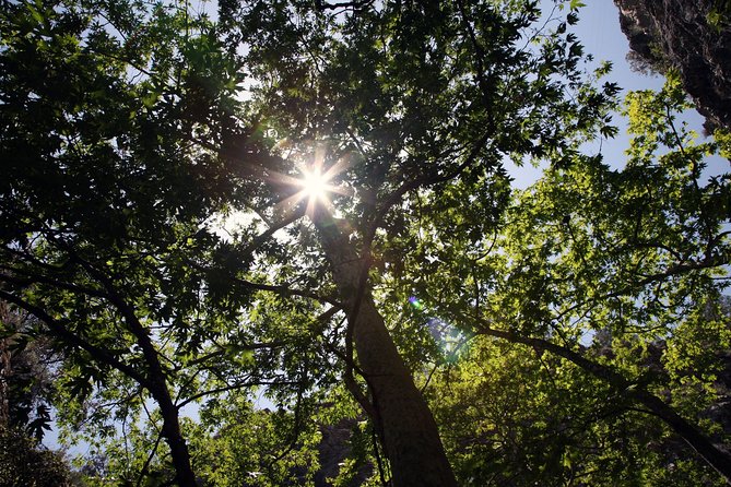 Beauty, Nature and Charm of Troodos Mountains from Paphos - Lunch and mountain time at Troodos Square