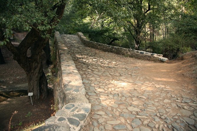 Beauty, Nature and Charm of Troodos Mountains from Paphos - Omodos, the day’s strongest village stop