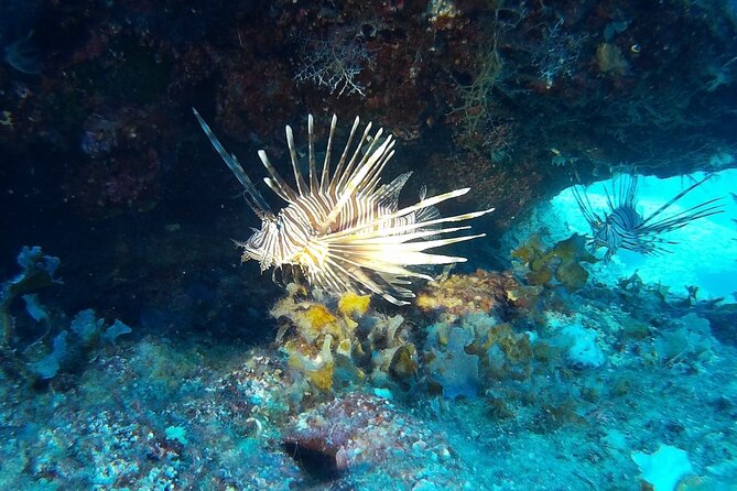 Beginners Discover Scuba Diving By Boat, Best Spot In Cyprus - The boat ride from Latchi to Blue Lagoon