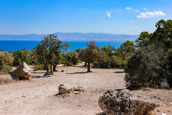 Blue Lagoon and Aphrodite’s Birthplace Day Tour from Limassol - How active is this full-day outing?