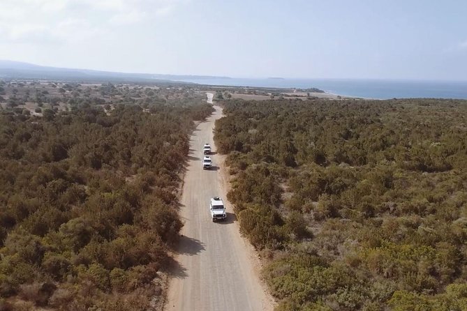 Cruise and 4X4 Safari Tour at Akamas Peninsula from Limassol - What the 4WD format means for your comfort
