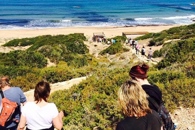 Cruise and 4X4 Safari Tour at Akamas Peninsula from Paphos - Timing, pickup, and the occasional rough edge