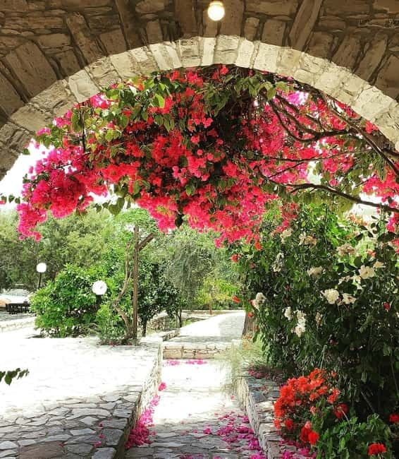 Cypriot Traditions and Donkey Adventures - Key points at a glance