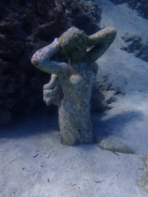 Cyprus: Introductory Scuba Lesson and Dive with Transfer - From hotel pickup to your first breath underwater