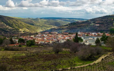 Troodos Mountain Food & Wine Tasting Tour with Lunch