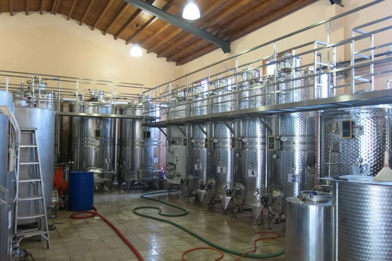 Cyprus: Troodos Mountain Wine Tour with a Local - Food Tasting Before the Meze