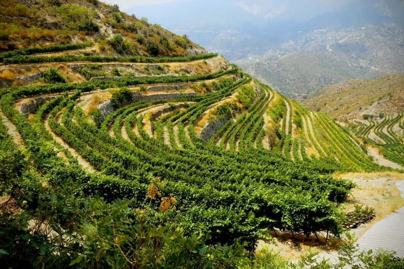 Cyprus: Troodos Mountain Wine Tour with a Local - Mountain Roads and Pickup Details