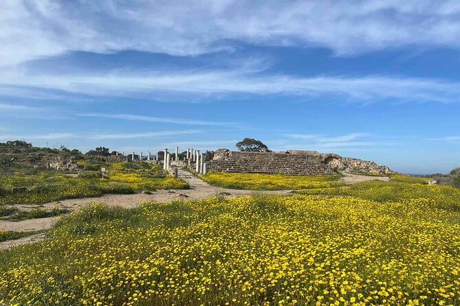 Day Tour to Famagusta, Ghost Town & Ancient Salamis - Crossing at Strovilia: bring the right document