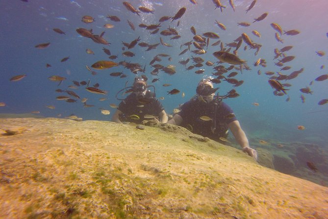 Discover Scuba Diving - Key points at a glance