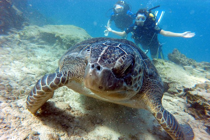 Discover Scuba Diving - What this Ayia Napa scuba session is really like