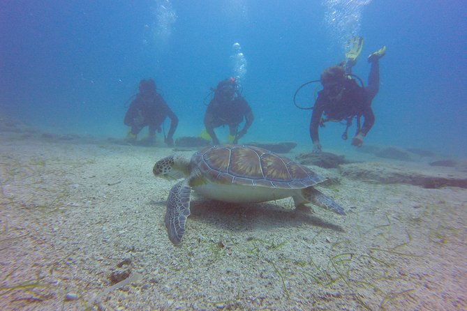 Discover Scuba Diving - The instruction comes before the underwater visit