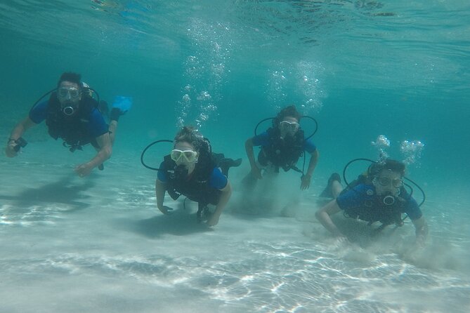 Discover Scuba Diving - Who will enjoy it most