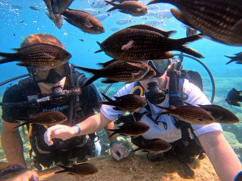 Discover Scuba Diving Experience - Green Bay makes a gentle first step
