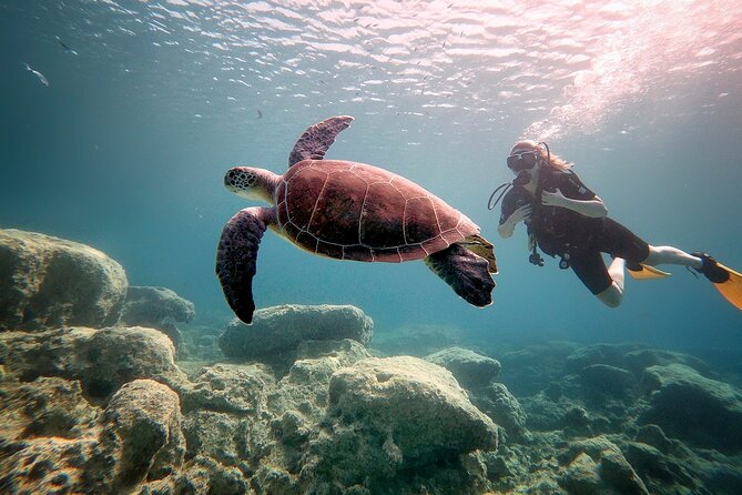 Discover Scuba Diving for Beginners - What the $101.27 price includes