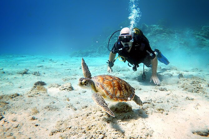 Discover Scuba Diving for Beginners - Who should book this Protaras activity