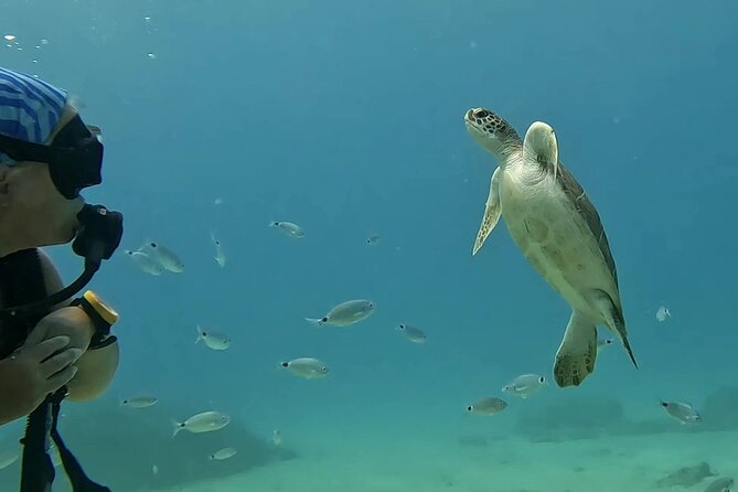 Discover SCUBA Diving with Pissouri Bay Divers - Price, time, and overall value