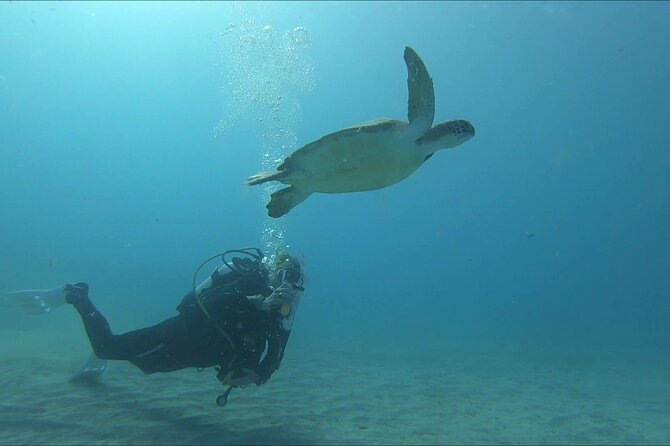 Discover SCUBA Diving with Pissouri Bay Divers - Practical planning before you book