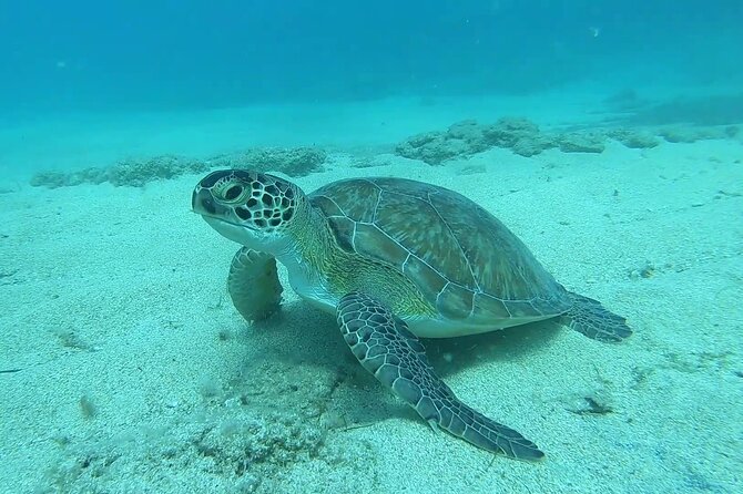 Discover SCUBA Diving with Pissouri Bay Divers - The first hour: paperwork, theory, and expectations