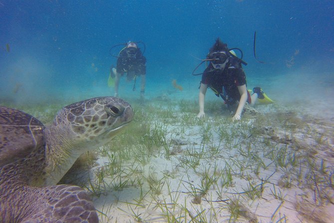 Discover Scuba Diving - Meeting Jo, Tomasz, and Werner