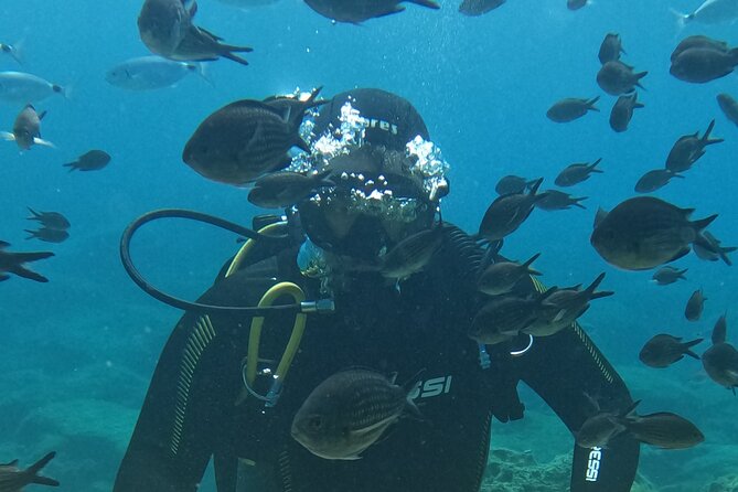 Dive The Rock (Scuba Diving Experience in Protaras) - Key points to know before booking
