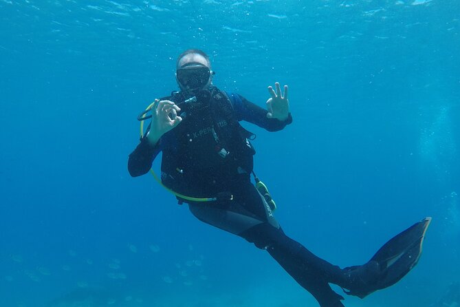 Dive The Rock (Scuba Diving Experience in Protaras) - Fish, turtles, and statues at Green Bay