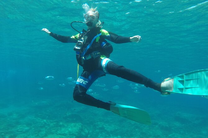 Dive The Rock (Scuba Diving Experience in Protaras) - Why the small group improves the experience