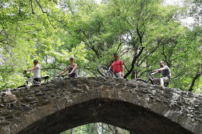 Explore Paphos forest with e-mountain bikes - Key points to know before you book