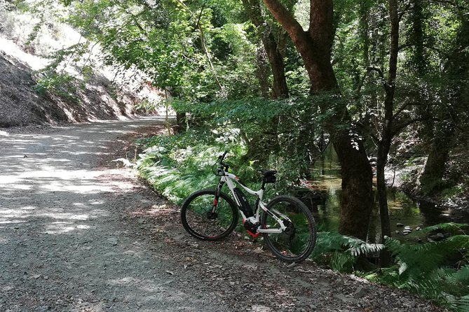 Explore Paphos forest with e-mountain bikes - What to bring and how to prepare