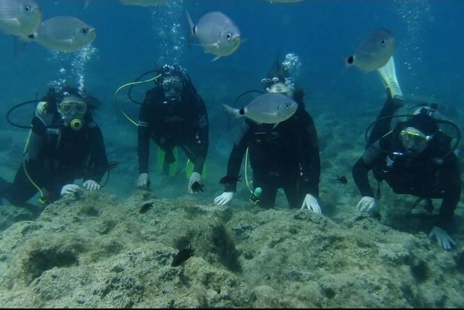 First Time Scuba Dive Adventure, Makronissos, Ayia Napa - What the Makronissos session is really like