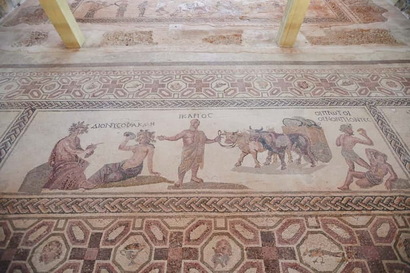 From Ayia Napa & Protaras: Kourion Tour and Paphos Town - Free time around Paphos Harbor