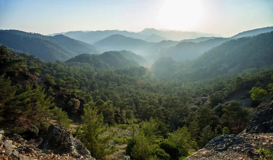 FROM LARNACA/AYIA NAPA/PROTARAS: Nicosia, Troodos &Limassol - Who will enjoy this route most?