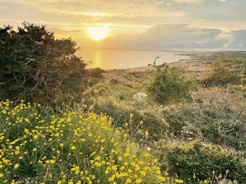 From Larnaca: Cape Greko Guided Tour with Transfers - Cape Greko National Forest Park and its open views