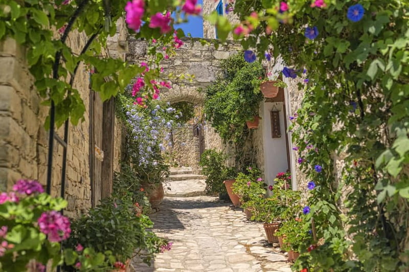 From Pafos/Limassol: Tastes of Cyprus Tour in Polish - A food-first route from Paphos to eastern Cyprus
